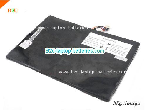 THTF I21P0 Battery 4000mAh 7.4V Black Li-ion