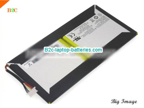 OTHER EG20-1S10400-G1A3 Battery 10400mAh, 39.52Wh  3.8V Sliver Li-Polymer