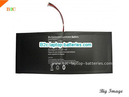 CX CX22800W Battery 10000mAh 3.8V Black Li-ion